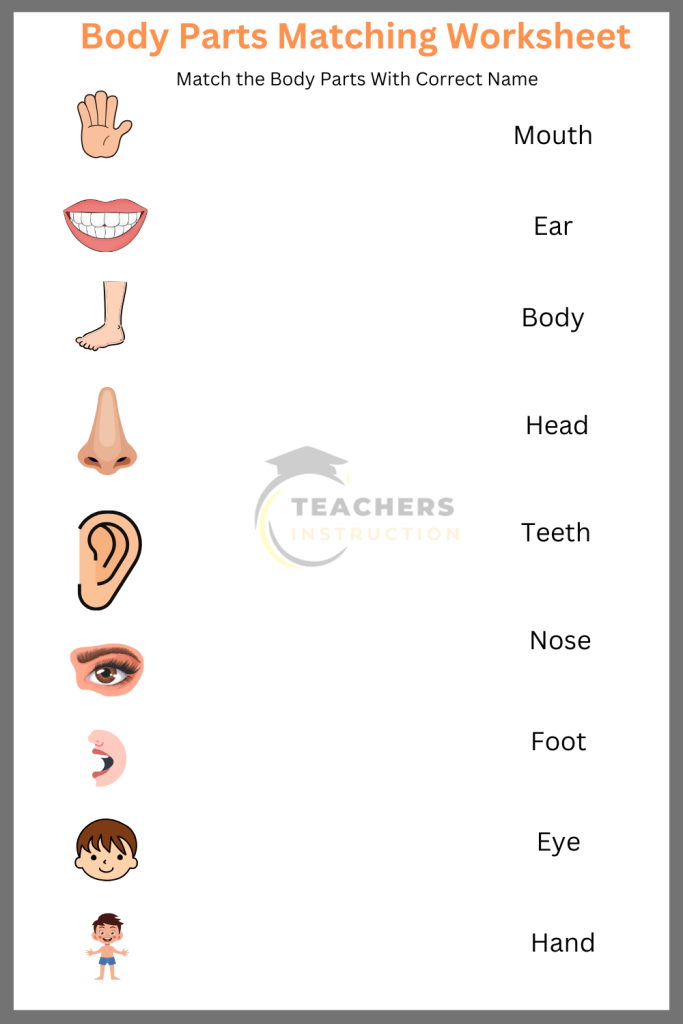 Body Parts Matching Worksheet